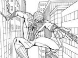 Coloriage Spider Man 3 104 Meilleures Images Du Tableau Batman Spiderman Superman