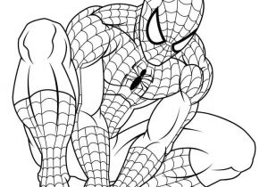 Coloriage Spider Man A Imprimer Coloriages Spiderman à Imprimer Sur Le Blog De Tlh Visit
