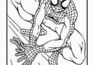 Coloriage Spider Man A Imprimer Spiderman Malvorlagen