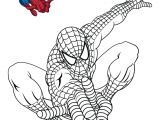 Coloriage Spiderman En Ligne Gratuit Dessin De Spiderman Noir