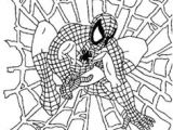 Coloriage Spiderman En Ligne Gratuit Les 22 Meilleures Images De Coloriages Coloring Pages En