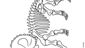 Coloriage Squelette Tyrannosaure Coloriage De Fossiles De Dinosaures Squelette De Triceraptor