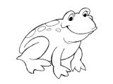 Coloriage toad Chat Dessins Gratuits   Colorier Coloriage Grenouille   Imprimer