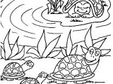 Coloriage tortue De Terre 185 Best Coloriages Animaux Sur Terre Images On Pinterest
