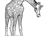Coloriages D Animaux De La Savane 111 Dessins De Coloriage Girafe   Imprimer