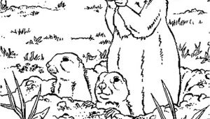 Dessin Coloriage Marmotte Coloriage Marmottes En Ligne Gratuit   Imprimer