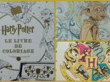 Harry Potter Coloriage Livre Harry Potter Le Livre De Coloriage [n°1]