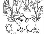 Jeux De Coloriage Pour Enfant 77 Best Coloriages De Bébés Animaux Images On Pinterest