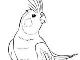Tête De Cheval Coloriage Les 21 Meilleures Images De Ment Dessiner Un Oiseau