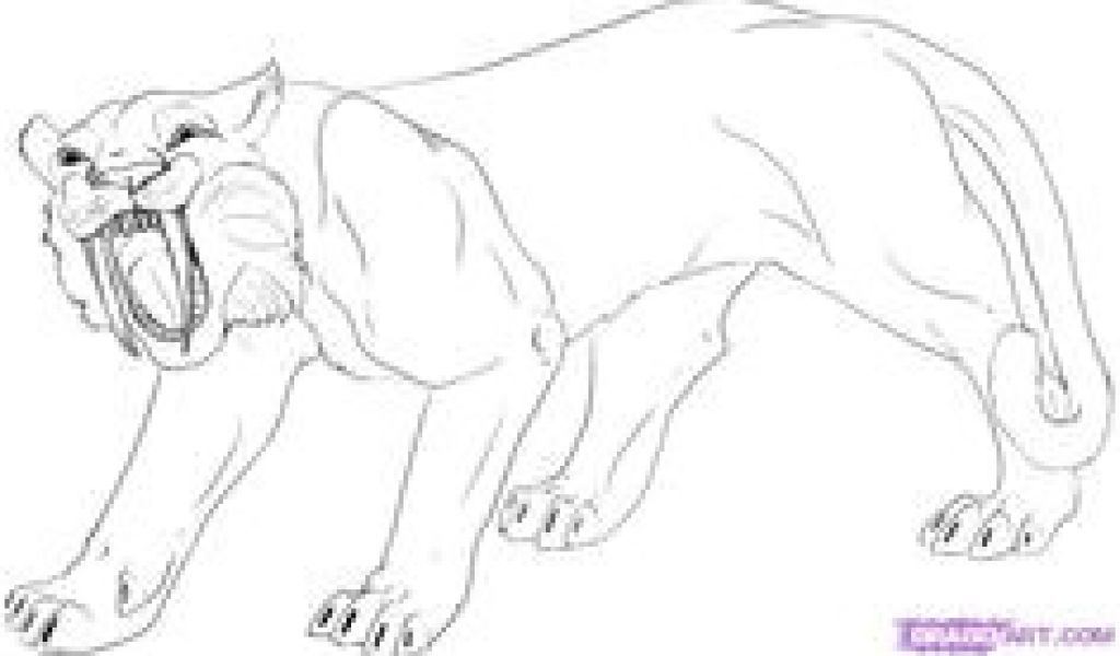 Tigre A Dent De Sabre Coloriage 214 Meilleures Images Du Tableau Tigre A Dent De Sabre Coloriage 214 Meilleures Images Du Tableau