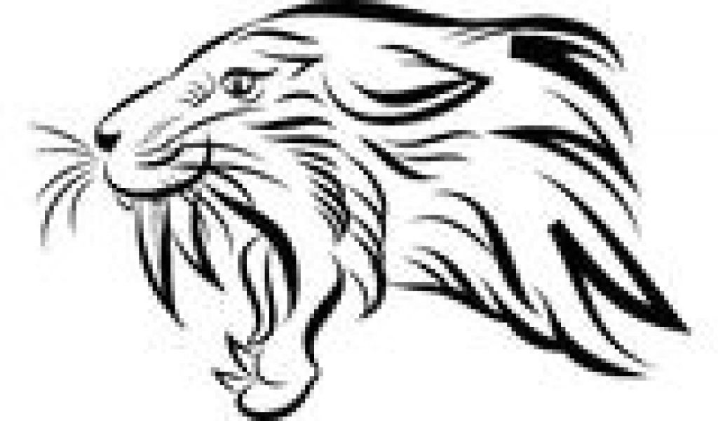 Tigre A Dent De Sabre Coloriage Head Tiger Stock Illustrations – 10 453