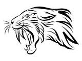 Tigre A Dent De Sabre Coloriage Head Tiger Stock Illustrations – 10 453 Head Tiger Stock