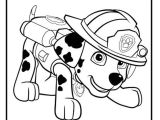 Www Coloriage Info Coloriage Pat Patrouille Dalmatien Marcus Marshall En Mode Pompier